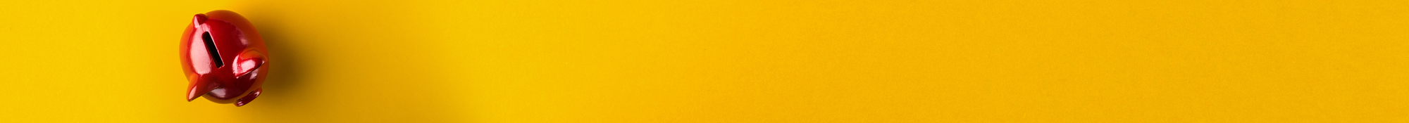 overhead shot of a piggy bank