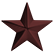 Texas Star